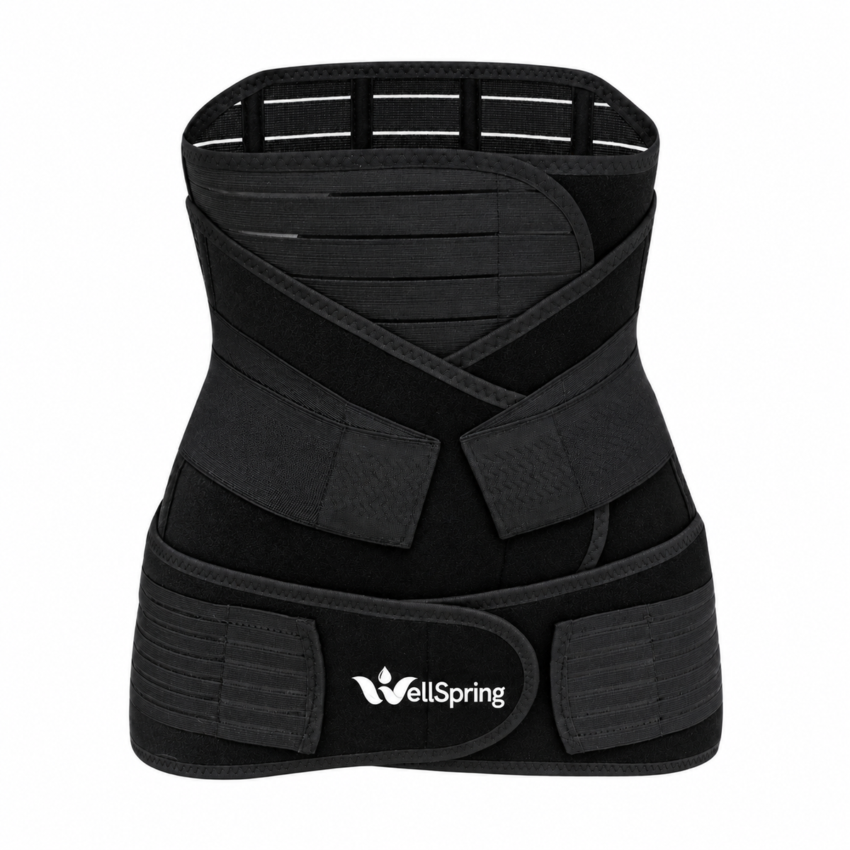 WellSpring Back-to-Me Recovery Belt